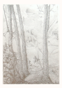 Carboncino - 2011_Gentile-Polo_Il-mio-bosco